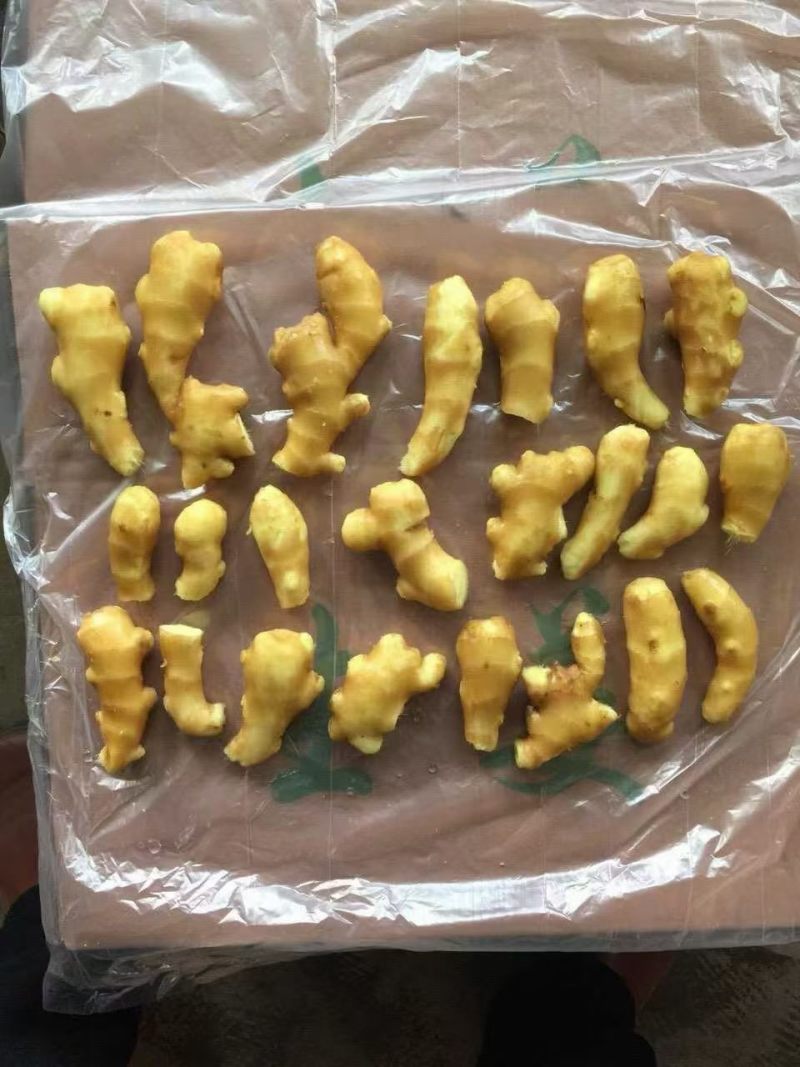 水洗烘干姜加工中，有货可联系产地一手货源品质保证