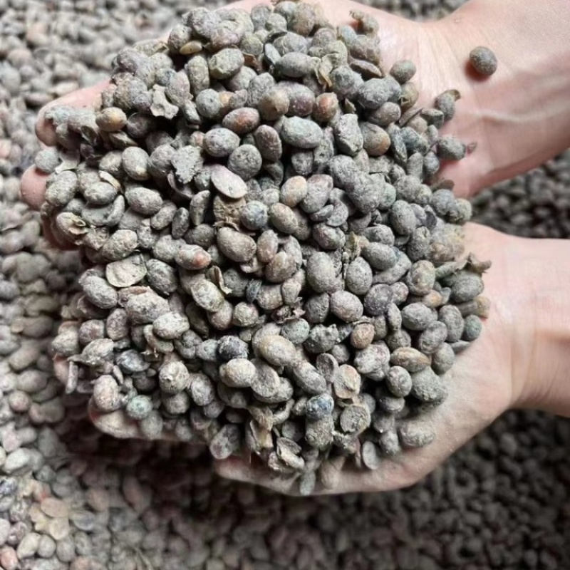 生物菌发酵有机大豆肥