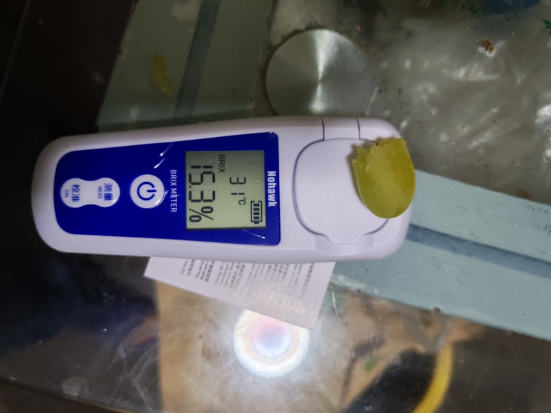 金蜜葡萄