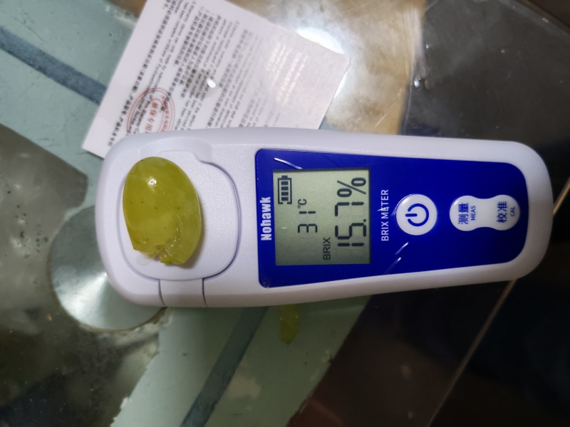 金蜜葡萄