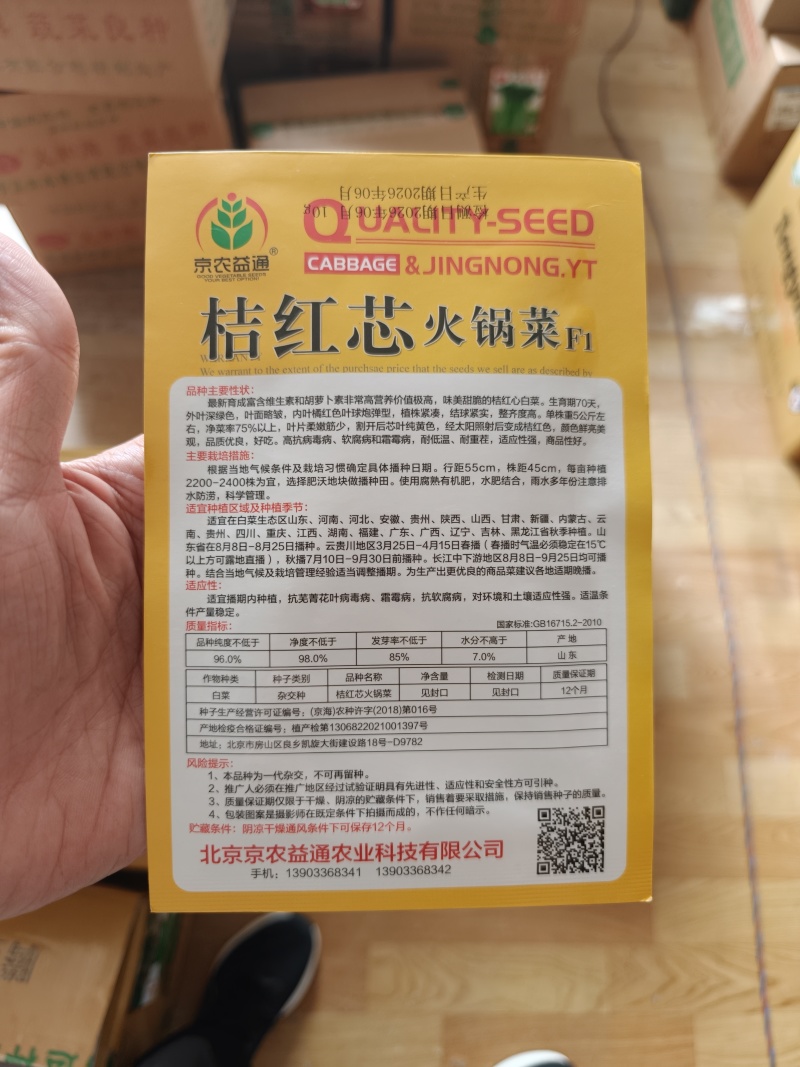桔红芯火锅菜大白菜种子火锅菜结球紧实耐低温抗病基地型