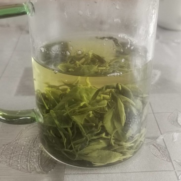 日照不打药多种有机肥清香茶叶