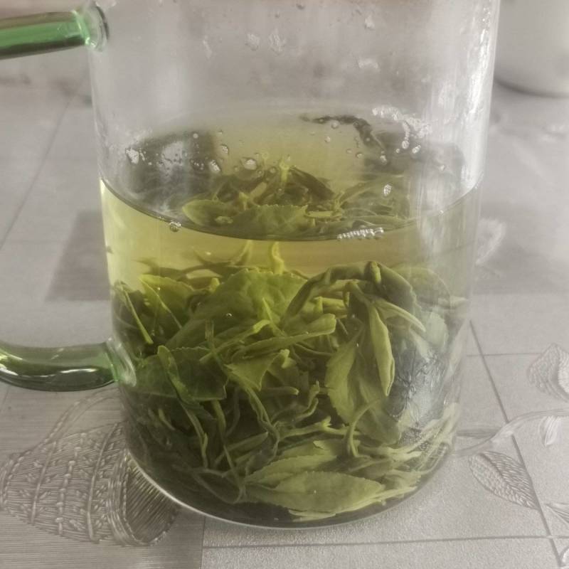 日照不打药多种有机肥清香茶叶
