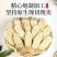 新货本草甘肃岷县黄芪中药材药食同源北芪配当归煲汤泡水正品