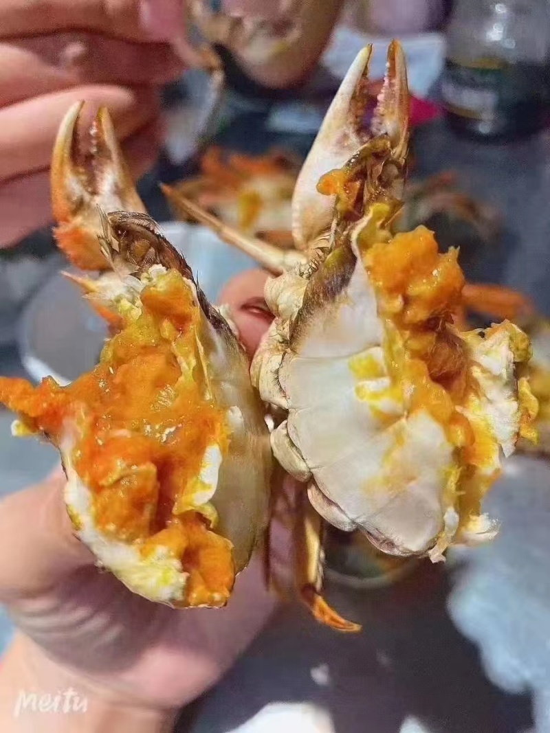 高淳精品六月黄