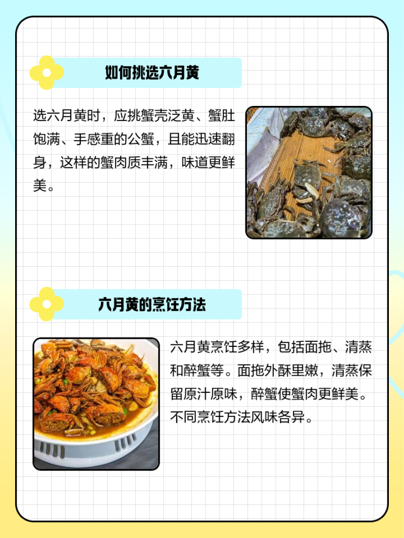 高淳精品六月黄