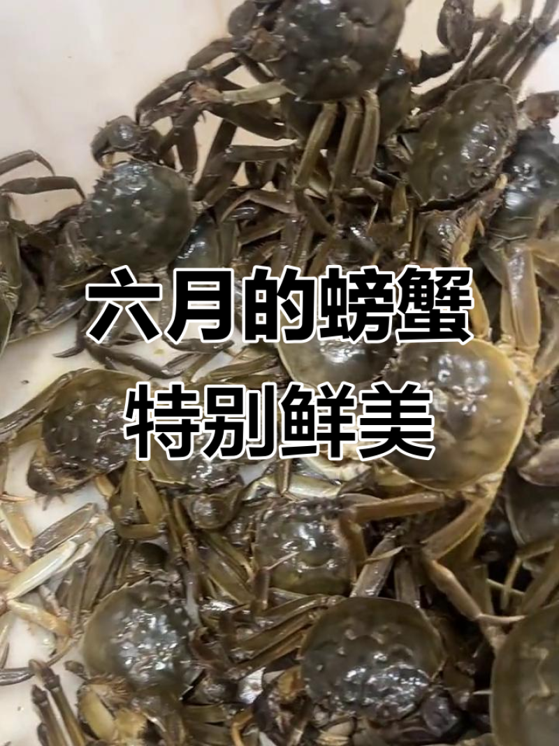 高淳精品六月黄