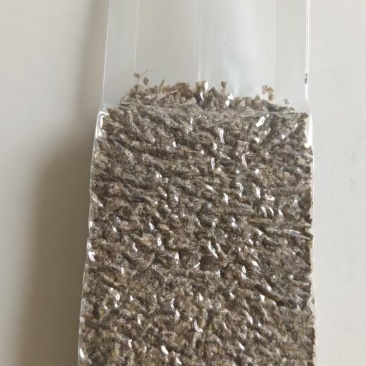 黑水虻系列产品