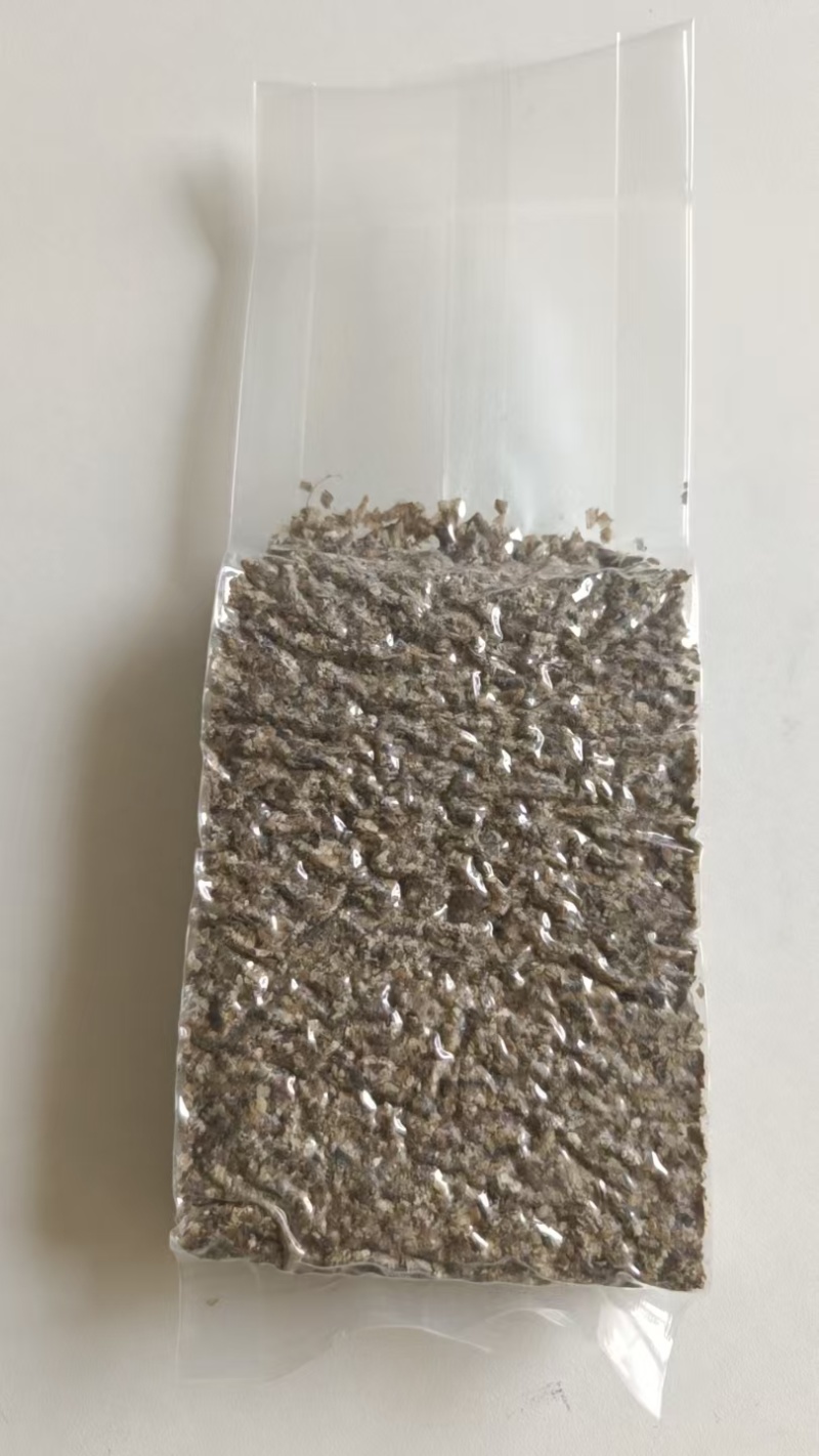 黑水虻系列产品