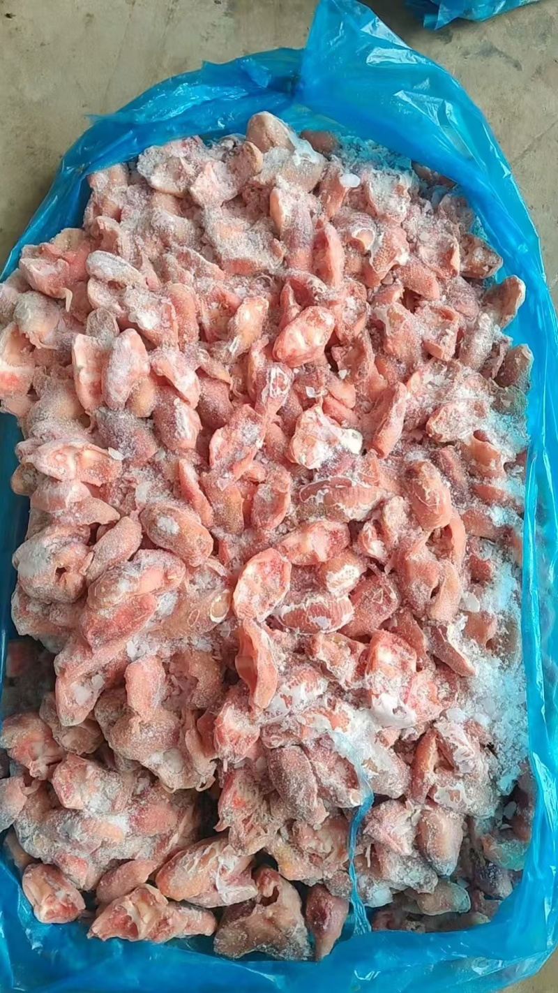 二级鸡脚筋