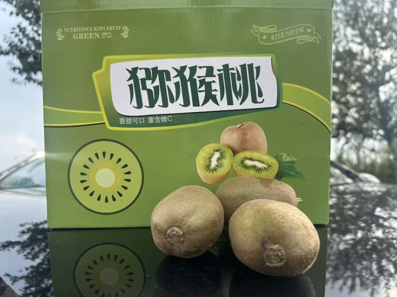 山东碧玉猕猴桃