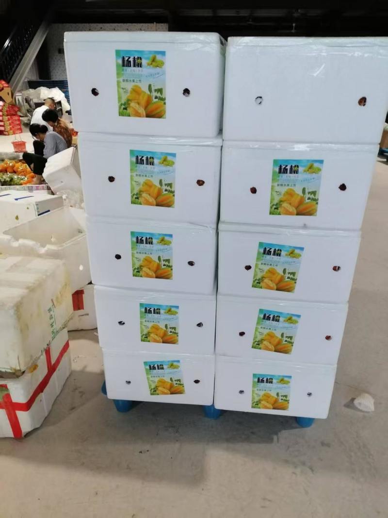 福建漳州黑叶荔枝一件代发，一手货源