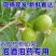 青皮核桃去皮核桃现货全平台一件代发电商有量有价**