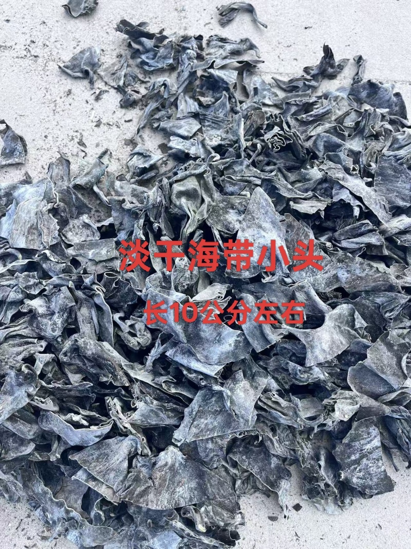 干海带小头（10公分左右），无沙干海带头（30公分左右）