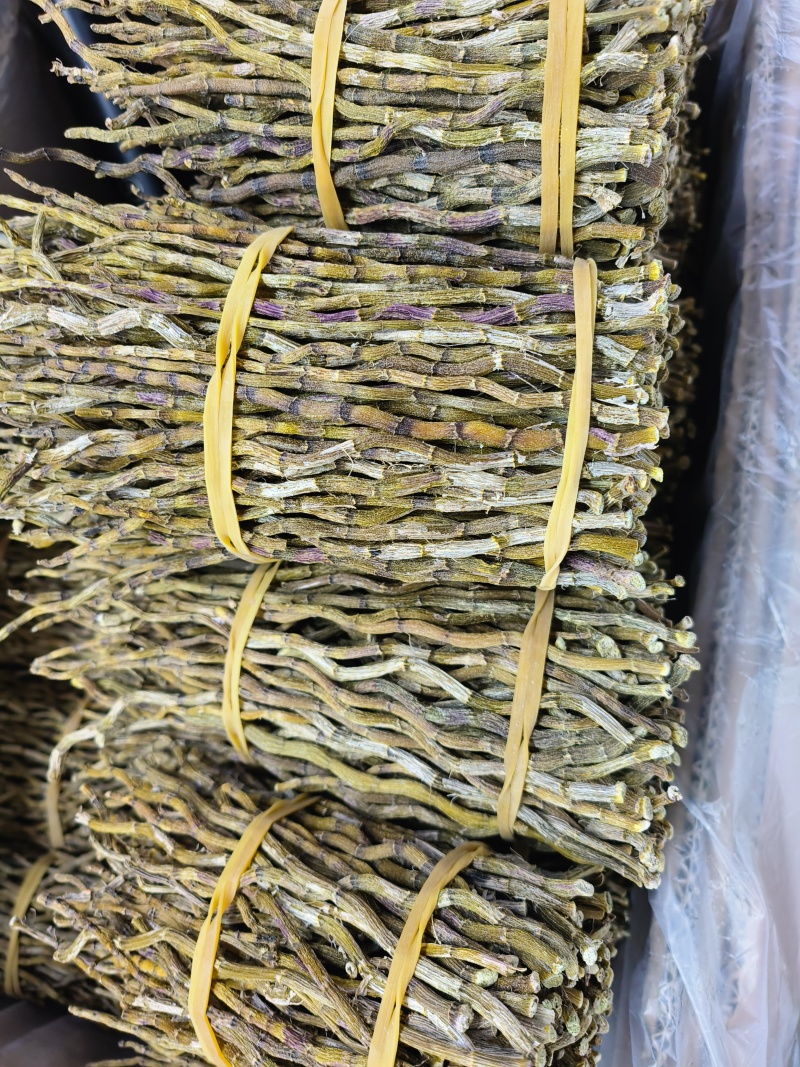 铁皮石斛各类都有大货选货胶质饱满量大从优