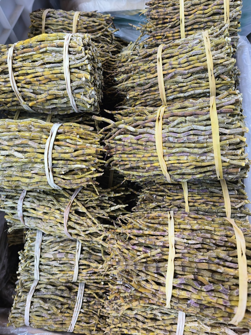 铁皮石斛各类都有大货选货胶质饱满量大从优
