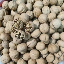核桃，新疆核桃新货，电商代发