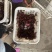 精品小龙虾79母