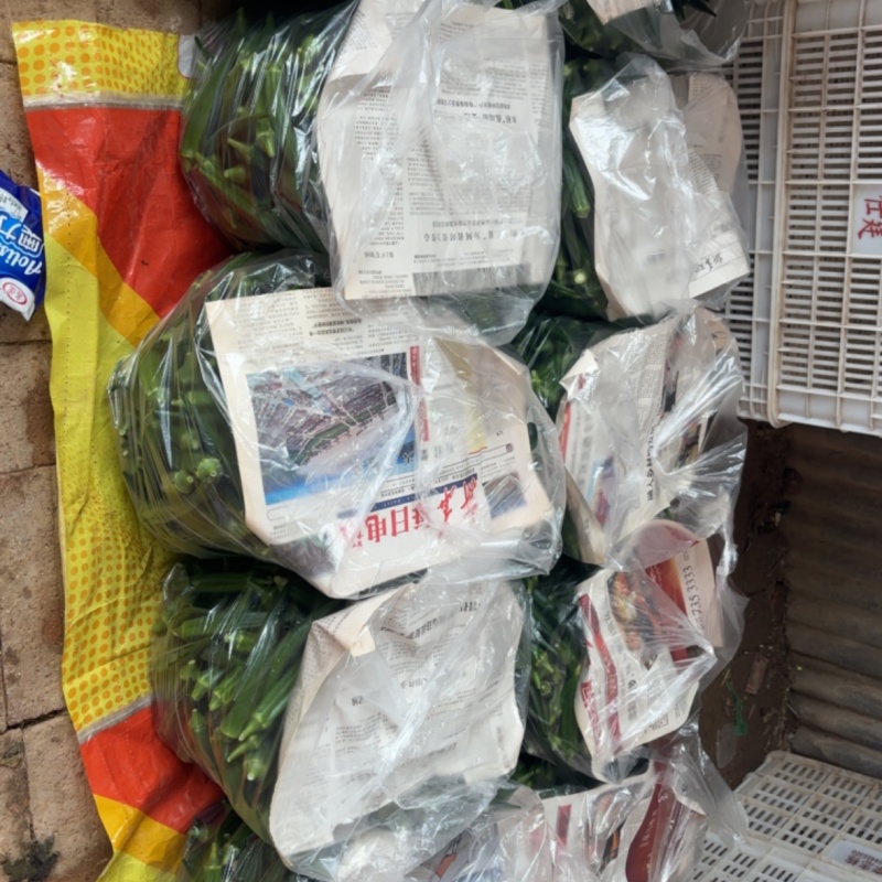 秋葵精品新鲜采摘基地