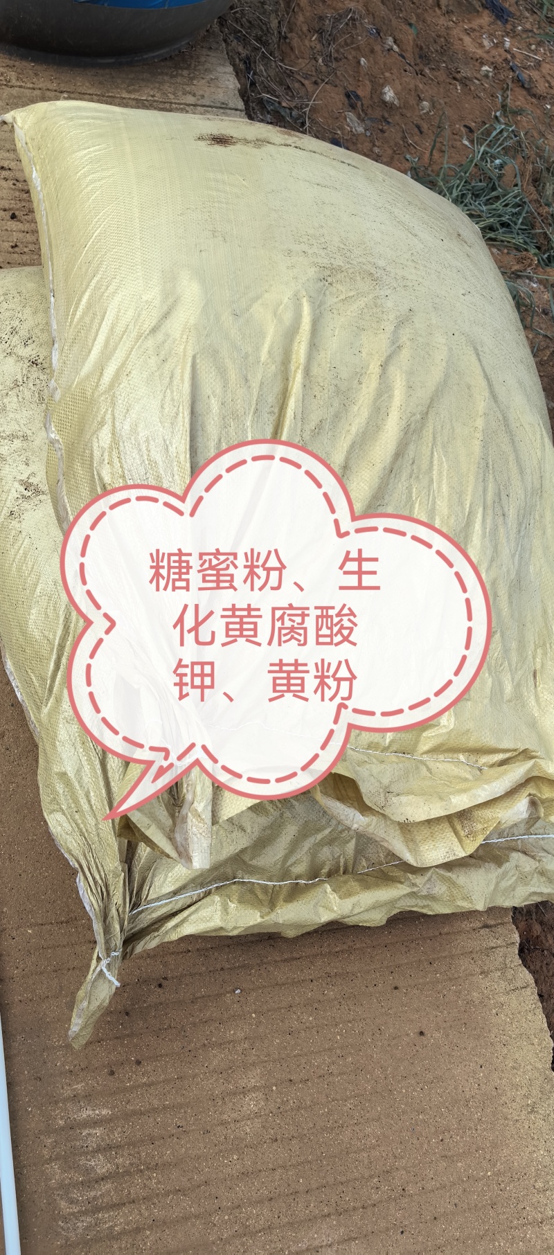 糖蜜粉