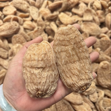 天麻红麻云南天麻野生红麻大个源头直供