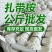 尼龙扎带塑料扎带按公斤批发国标尼龙扎带国家标准厂家直销防