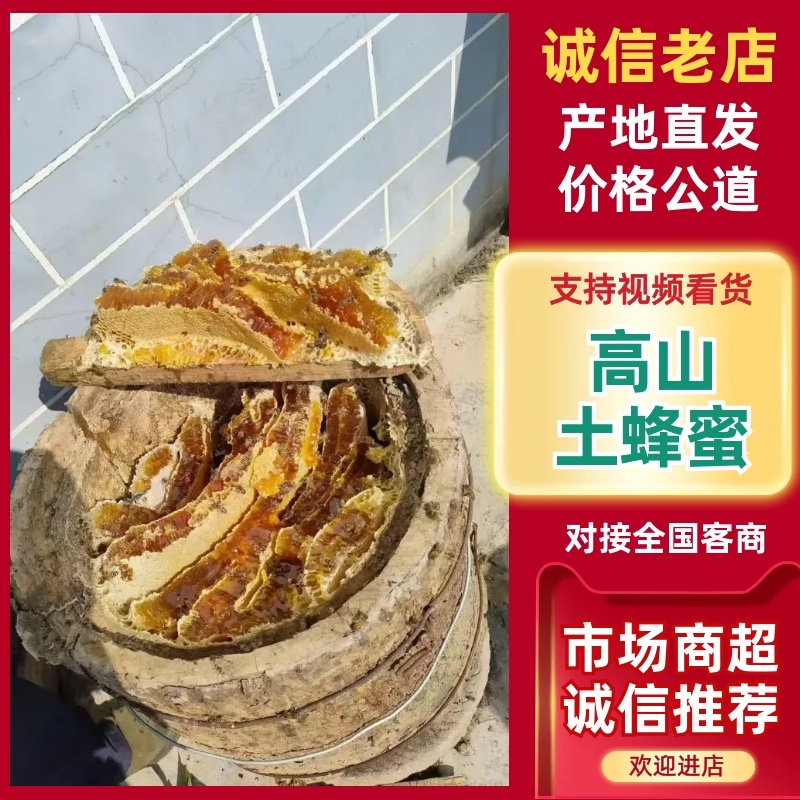 高山土蜂蜜自产自销正宗土蜂蜜营养价值高