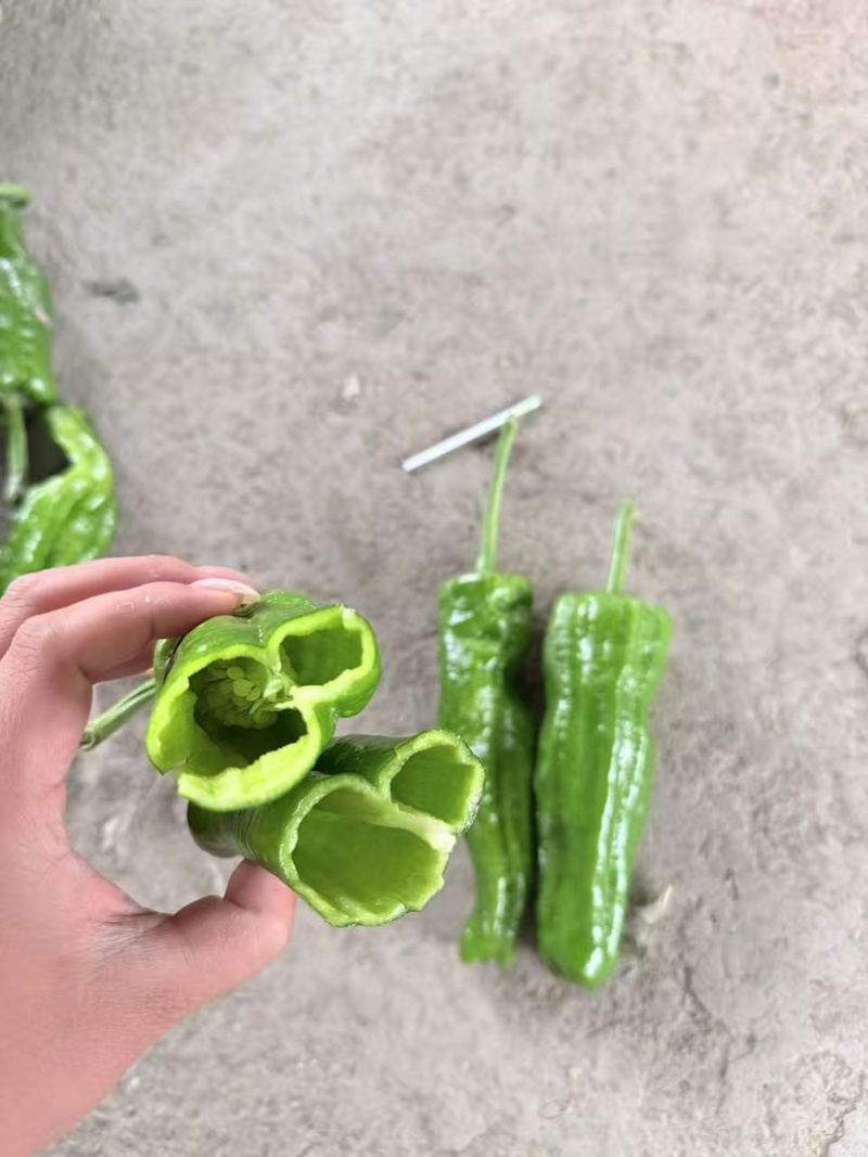 薄皮巨无霸，品质保证，产地直发，价格优惠，欢迎选购
