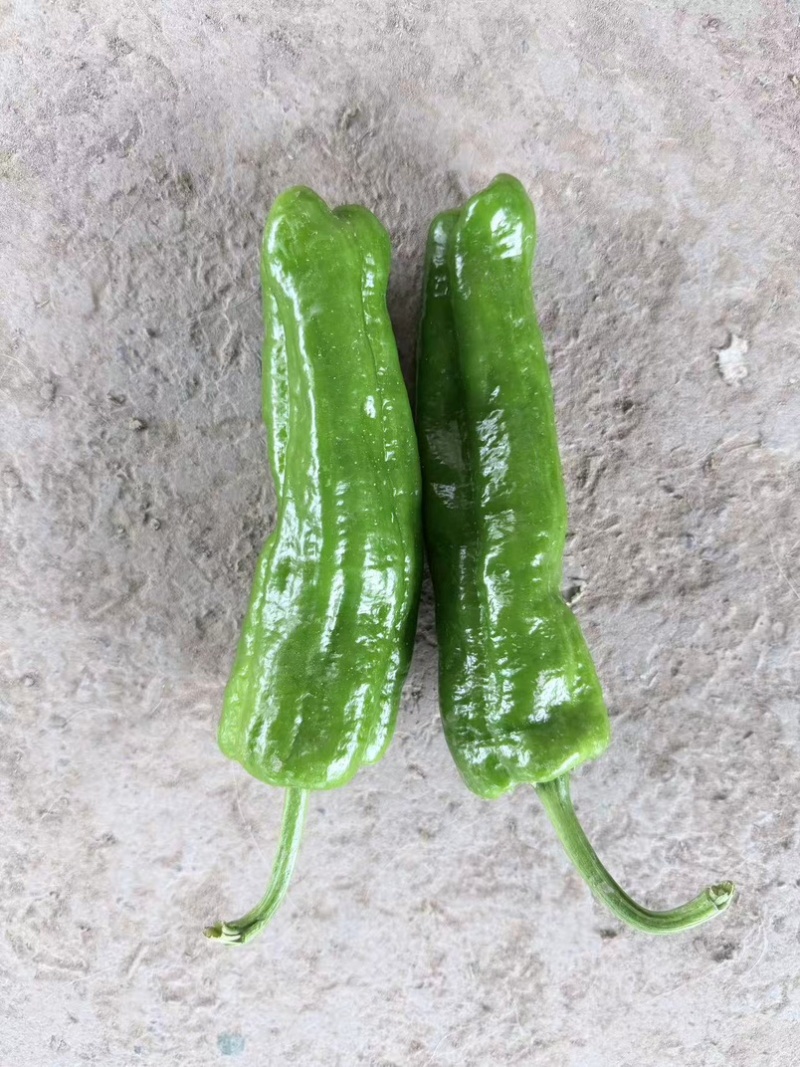 薄皮巨无霸，品质保证，产地直发，价格优惠，欢迎选购
