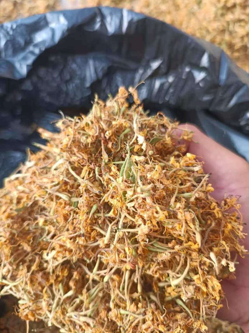 （热销）贵州金银花2026新货