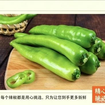 夏邑301泡椒产地直发品质保证价格优惠实力商家