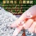 湖北恩施藤茶核心产区批发供应