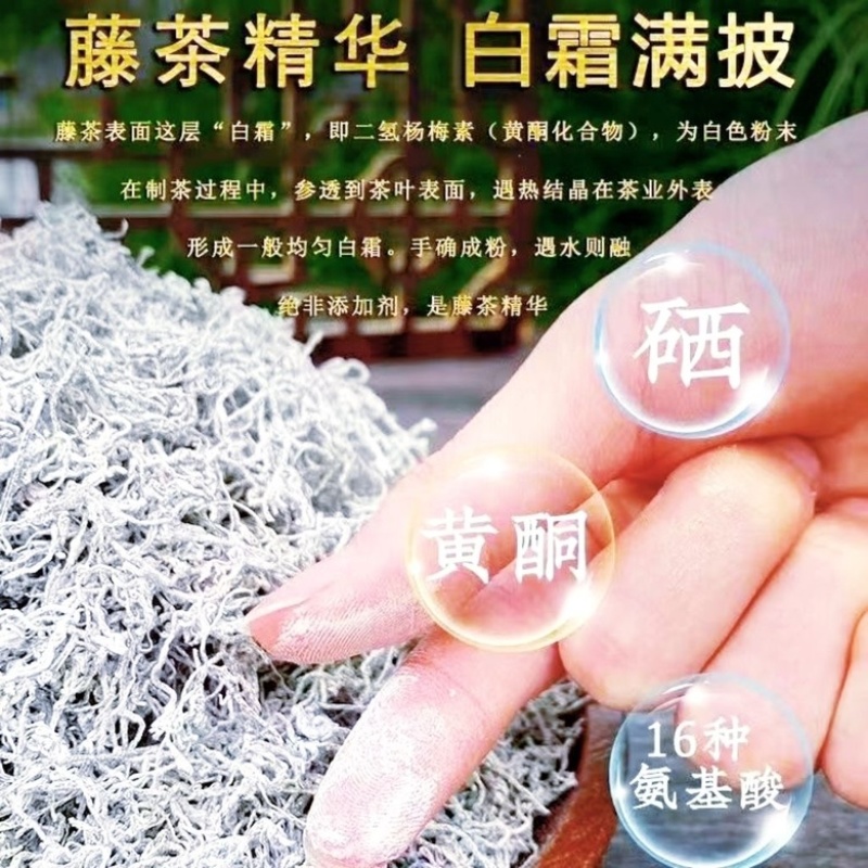 湖北恩施藤茶核心产区批发供应