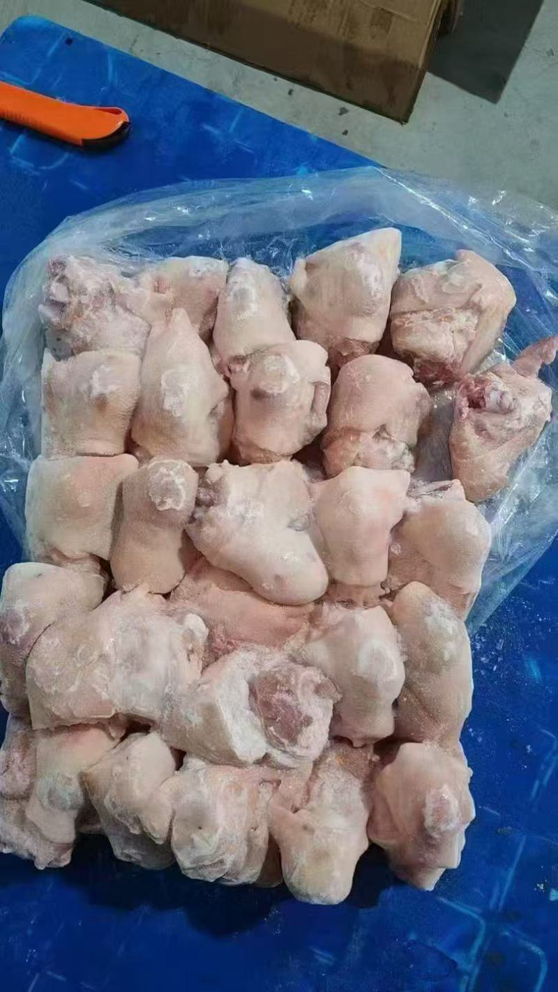 带皮拐骨
