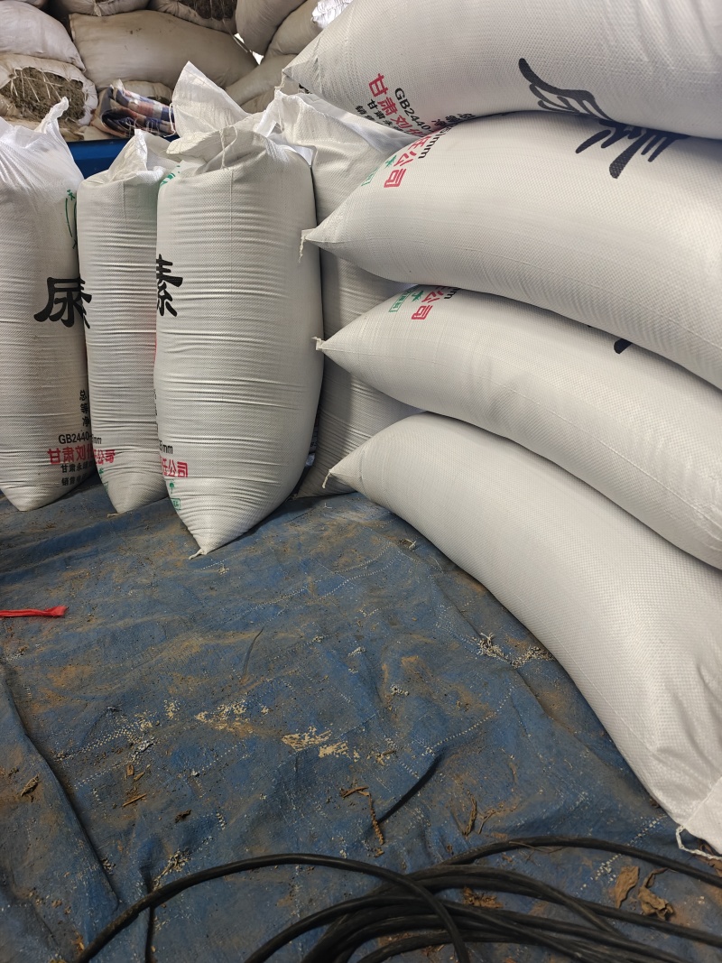 北柴胡籽。红根直条北柴胡，产地直发量大从优