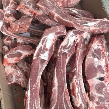 满肉前排条