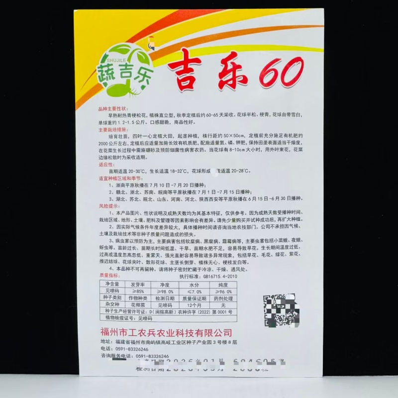 吉乐60天松花菜种子早熟耐热青梗松花菜种子口感甜脆半松