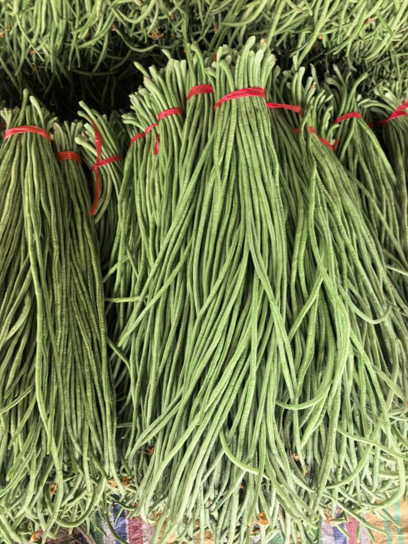 精品长豆角山东长豆角产地大量上市对接市场电商欢迎咨询
