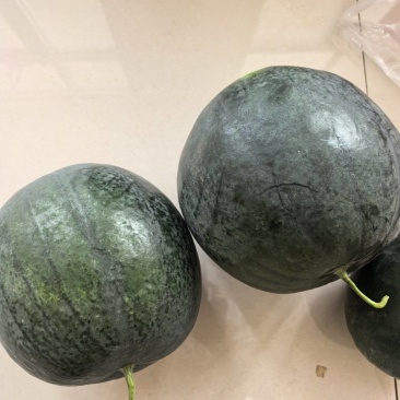 黄心的黑金刚小西瓜，3左右，邹城香城产地直销，欢迎订购。