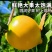 黄晶果