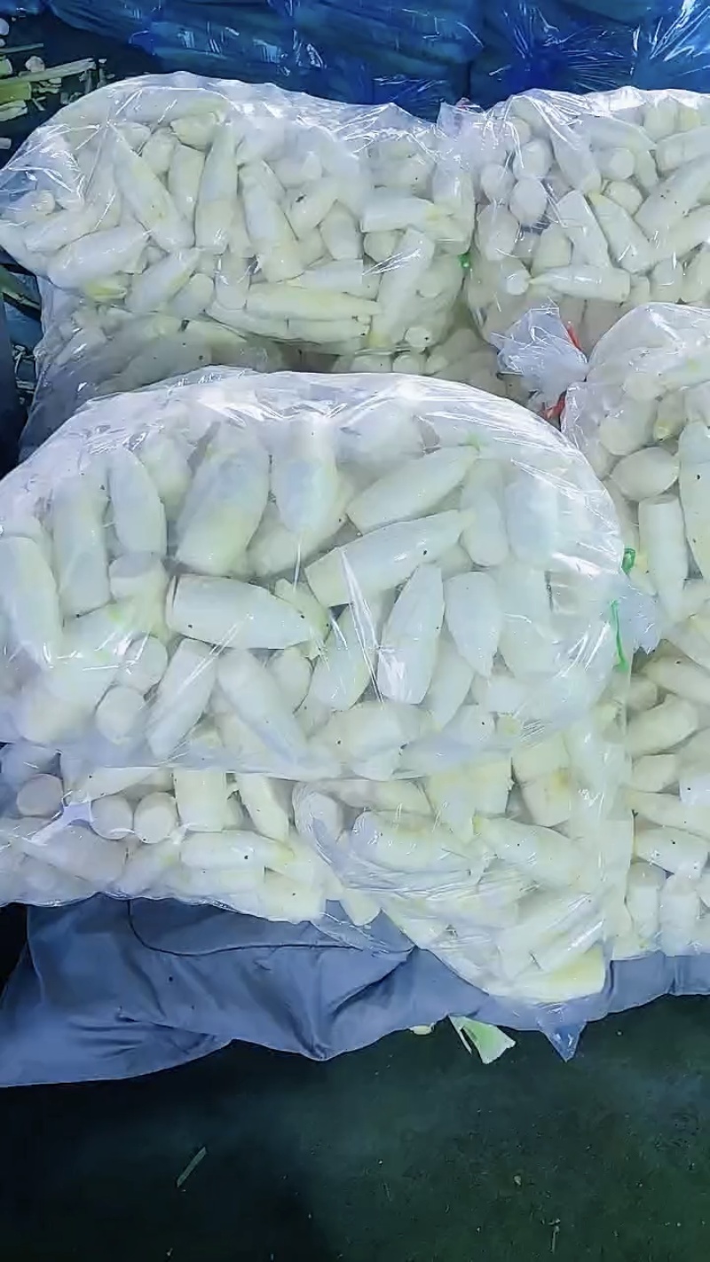 精品白肉