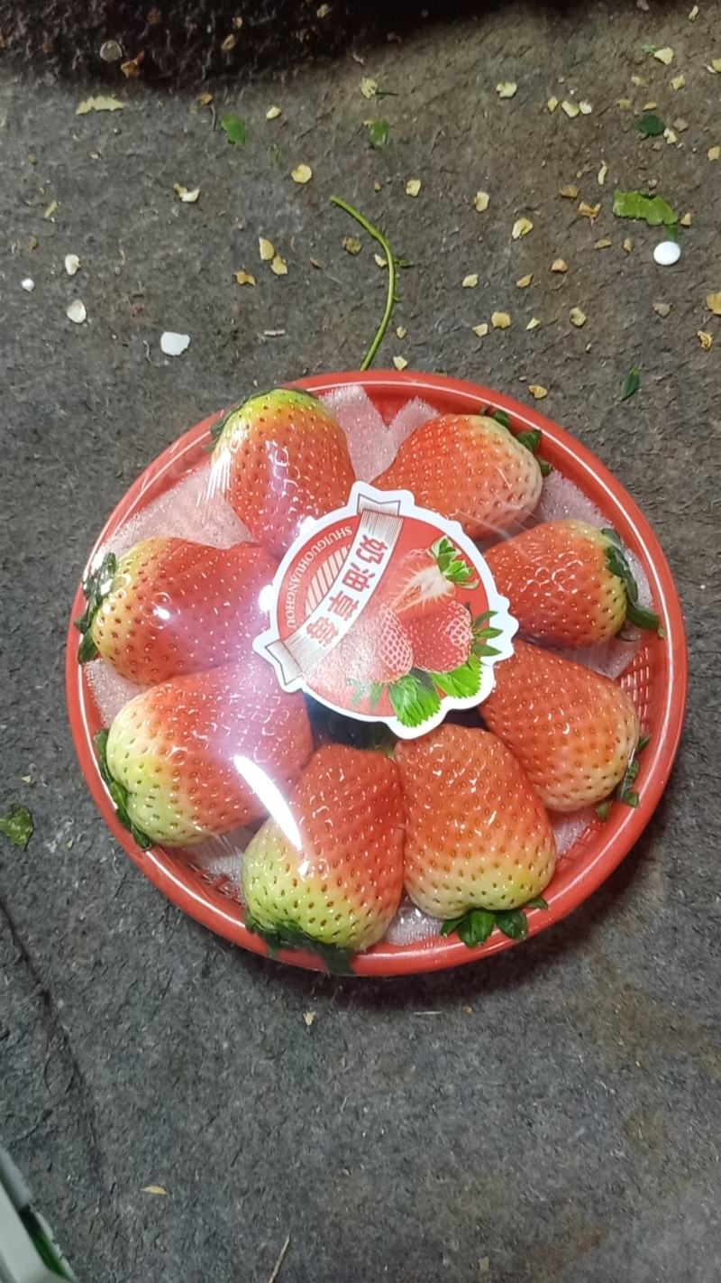 闻集草莓天仙醉