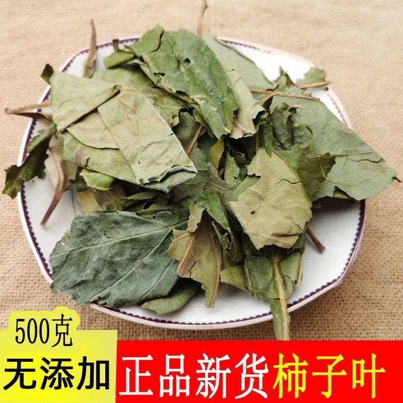 精选新货柿子叶霜后绿柿子叶晒干柿叶煮水中药材批发零售