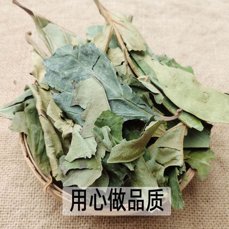 精选新货柿子叶霜后绿柿子叶晒干柿叶煮水中药材批发零售