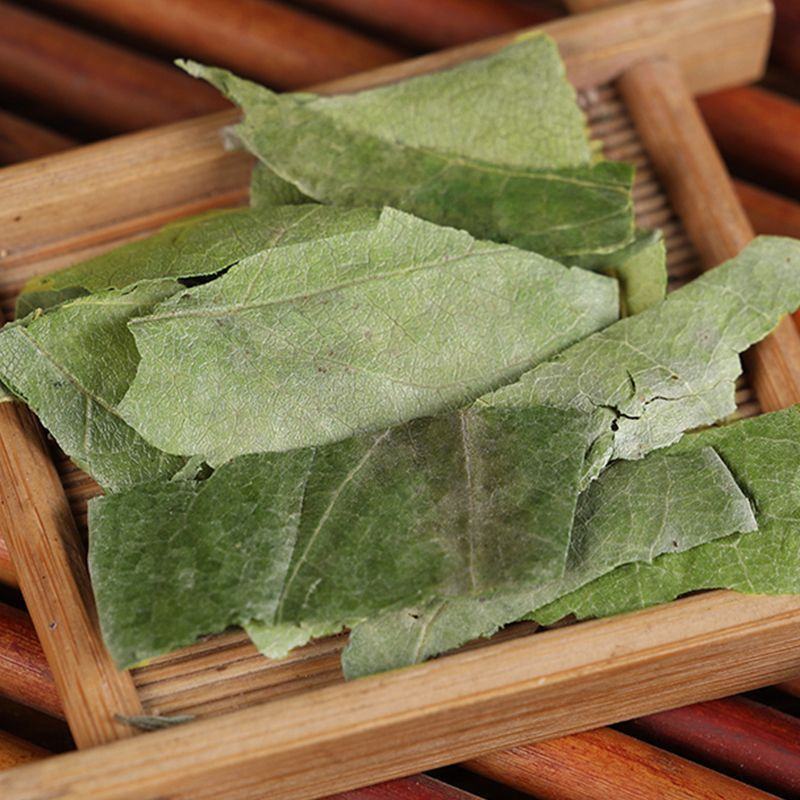 精选新货柿子叶霜后绿柿子叶晒干柿叶煮水中药材批发零售