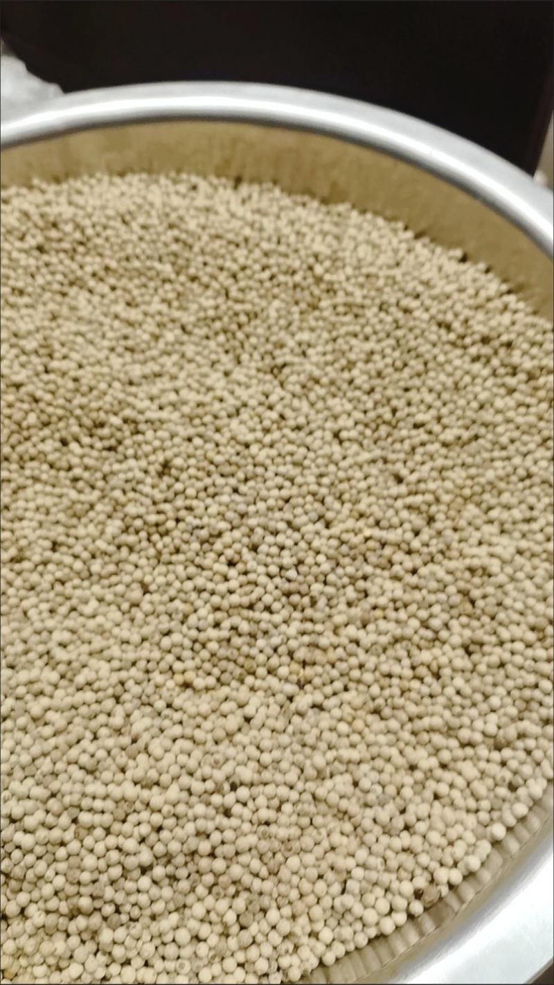 海南胡椒精选白胡椒纯正家用去腥胡椒粉调味品颗粒提鲜香料