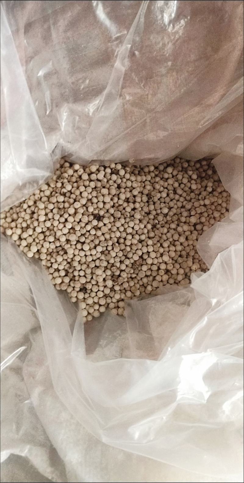 海南胡椒精选白胡椒纯正家用去腥胡椒粉调味品颗粒提鲜香料