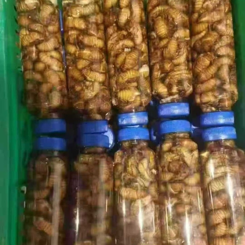 金蝉，对接电商，社区团购，市场，商场，一件代发。