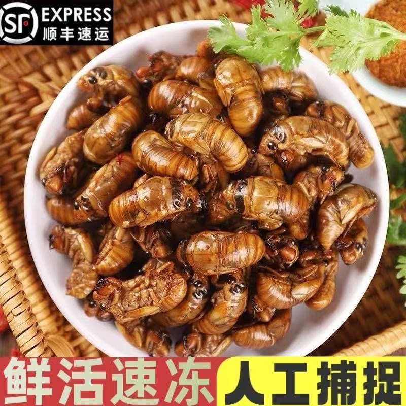 金蝉，对接电商，社区团购，市场，商场，一件代发。