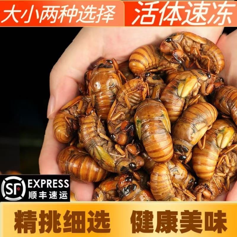 金蝉，对接电商，社区团购，市场，商场，一件代发。